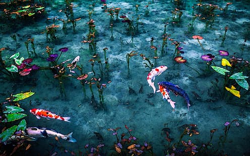 Kunstwerk, Malerei, Teich, Fisch, Pflanzen, Wasser, Blätter, Koi, Japan, HD-Hintergrundbild HD wallpaper