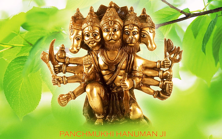 パンチムキハヌマン、ヒンドゥー教の神の置物、神、主ハヌマン、ハヌマン、主、 HDデスクトップの壁紙