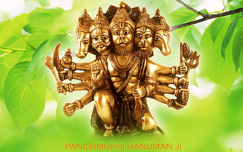 Panchmukhi Hanuman, figurine de la divinité hindoue, Dieu, Seigneur Hanuman, hanuman, seigneur, Fond d'écran HD HD wallpaper