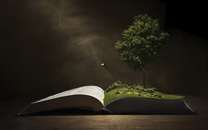 Biała strona książki, tło, drzewo, książka, Tapety HD