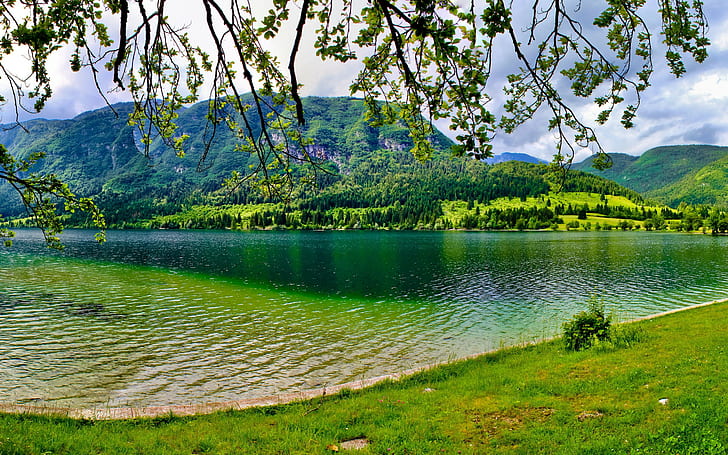 Slovenia, Bohinj, green grass, Slovenia, Bohinj, Lake, summer, green, Mountain, trees, HD wallpaper