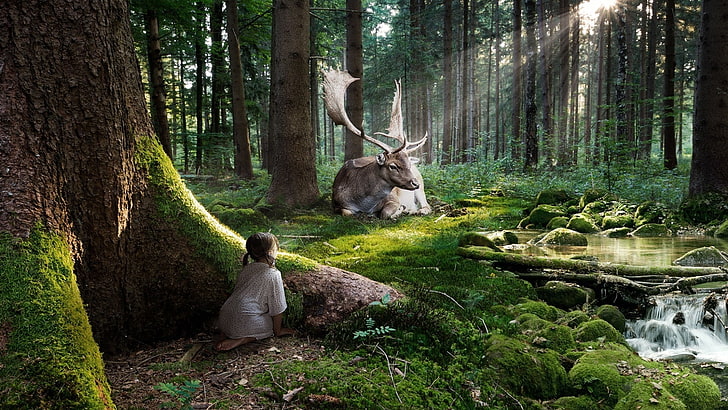 brown moose, forest, rays, stream, deer, Girl, observation, HD wallpaper