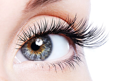person's eyelashes, woman, eye, eyelashes, pupil, HD wallpaper HD wallpaper