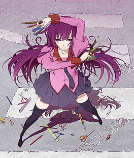 Seri Monogatari, gadis anime, Senjougahara Hitagi, Wallpaper HD HD wallpaper