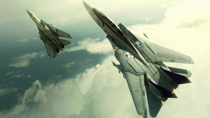 Abbildung mit zwei grauen Kampfjets, CGI, Videospiele, Flugzeug, Flugzeug, F-14 Tomcat, Ace Combat, Fahrzeug, F 14, Militär, Ace Combat 5, HD-Hintergrundbild