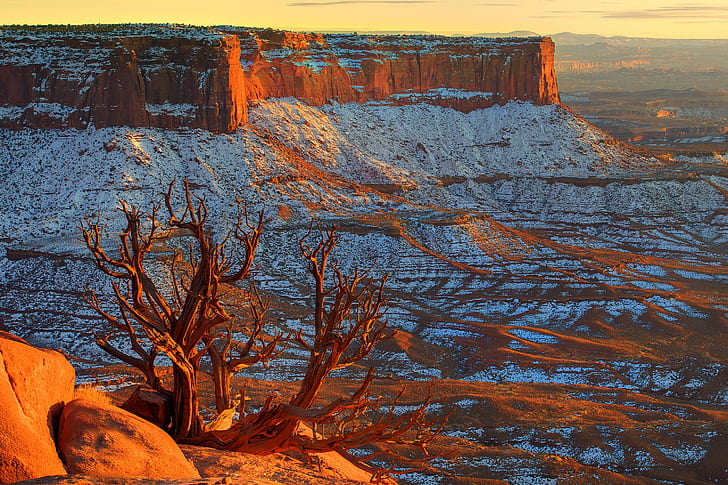 Canyonlands, Utah, USA, bare tree and cliff, snow, sky, horizon, canyon, stones, wood, sunset, usa, canyonlands, utah, HD wallpaper