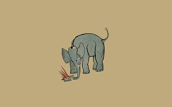 album covers, Mount Eerie (Band), music, elephant, minimalism, campfire, HD wallpaper