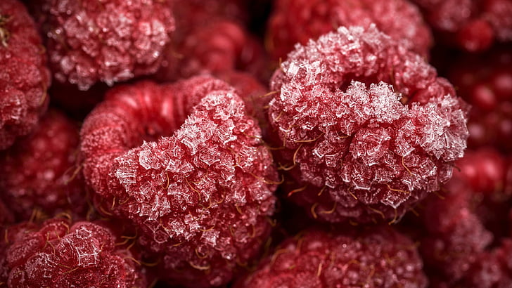 natural foods, berry, raspberry, fruit, frozen, frost, frosted, macro photography, macro, photography, red berries, red berry, berries, close up, photo, ice, HD wallpaper
