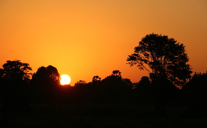 Solen gick in i skogen, naturen, solen och himlen, Sri Lanka, solnedgång, vacker, skog, gyllene solen, HD tapet