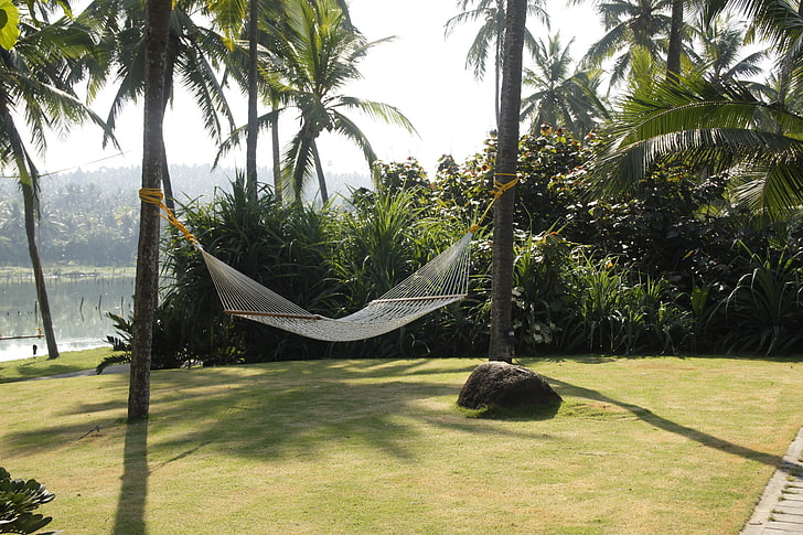 white hammock, nature, Park, background, Wallpaper, India, jungle, hammock, walk, journey, HD wallpaper