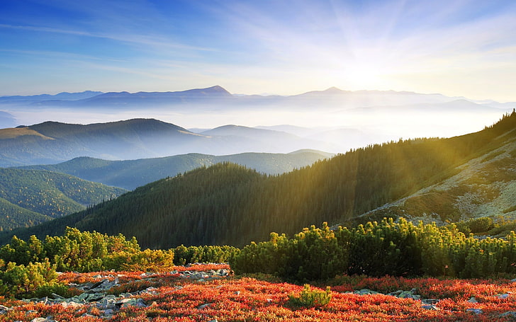 حقل السلاسل الجبلية مع الأشجار الخضراء والأشجار والمناظر الطبيعية والجبال والسماء، خلفية HD