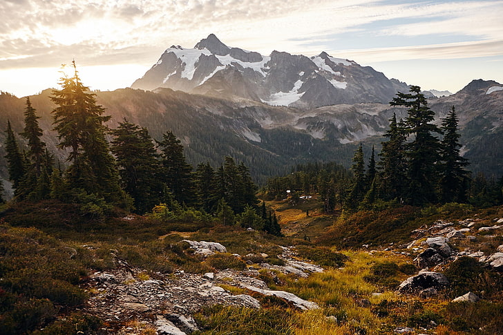snöklädda berg omgiven av tallar, landskap, berg, skog, Mount Shuksan, North Cascades National Park, USA, natur, sten, träd, HD tapet