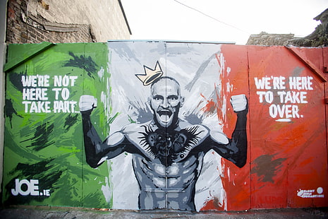 mehrfarbiges Wandgemälde, UFC, Grafiti, Conor McGregor, HD-Hintergrundbild HD wallpaper
