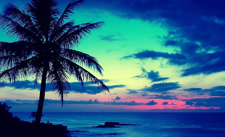 Tropical Sunrise HD Wallpaper, albero di cocco, natura, spiaggia, alba, tropicale, Sfondo HD