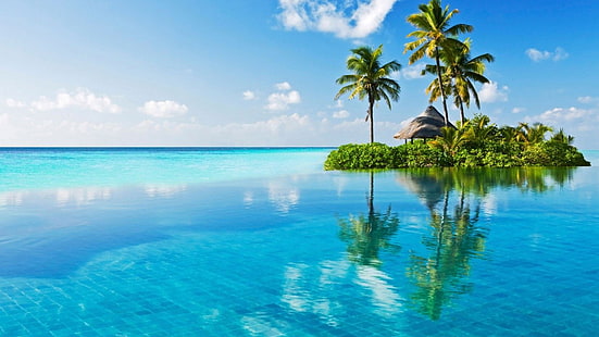Jorden, ön, havet, palmträdet, HD tapet HD wallpaper