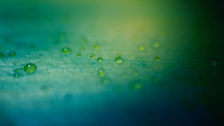 青い表面、緑の水滴、マクロ、水滴、被写界深度、 HDデスクトップの壁紙