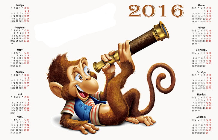2016 year of the monkey calendar, monkey, calendar, 2016, HD wallpaper