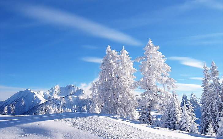 winter, snow, snowy peak, sunlight, mountains, blue, sky, cyan, white, HD wallpaper