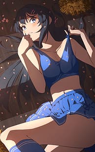 anime, anime girls, Sakurajima Mai, Seishun Buta Yarō wa Bunny Girl-senpai no Yume wo Minai, HD papel de parede HD wallpaper