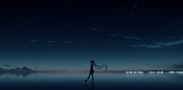 Anime, Vocaloid, Hatsune Miku, Nacht, HD-Hintergrundbild HD wallpaper