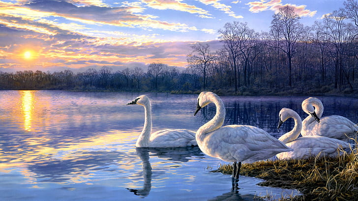 Художествена живопис лебедово езеро залез пейзаж, ято лебед, изкуство, живопис, лебед, езеро, залез, пейзаж, HD тапет