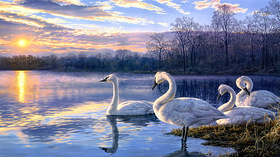 Arte pintura paisaje del atardecer lago de los cisnes, bandada de cisnes, arte, pintura, cisne, lago, puesta de sol, paisaje, Fondo de pantalla HD HD wallpaper