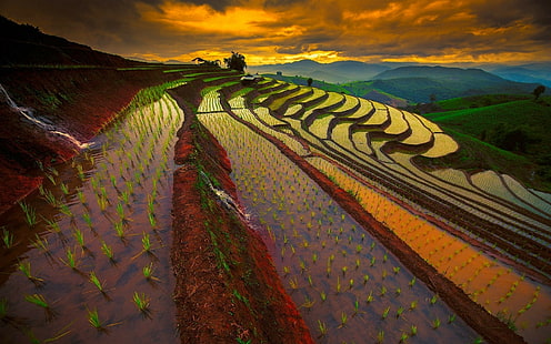 natur landskap soluppgång berg fält risfält terrasser himmel thailand dimma vatten moln, HD tapet HD wallpaper