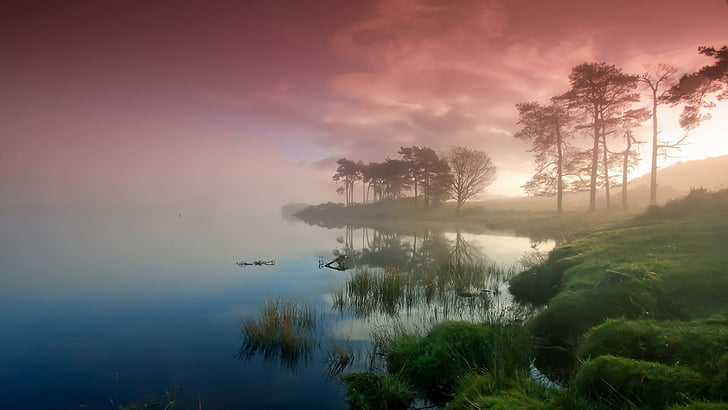 スコットランド、ヨーロッパ、田舎、霧、霧、空、湖、霧、木、雲、反映、 HDデスクトップの壁紙