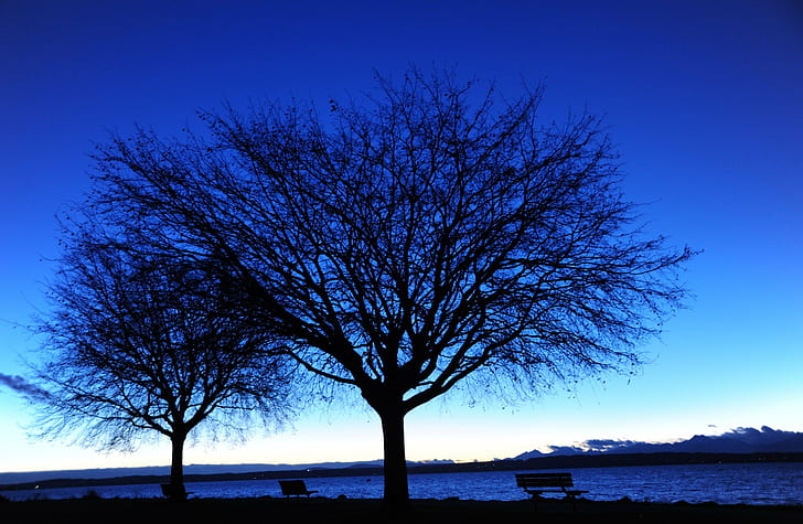 blue body of water during night time, puget sound, seattle, washington, usa, puget sound, seattle, washington, usa, Two trees, benches, the view, Golden Gardens Park, twilight, Puget Sound, Olympic Range, distance, blue sky, Seattle, Washington, body of water, night time, view, Seattle  Washington, blue  winter, bare, tree, empty, clear, night, nature, silhouette, outdoors, sky, sunset, HD wallpaper