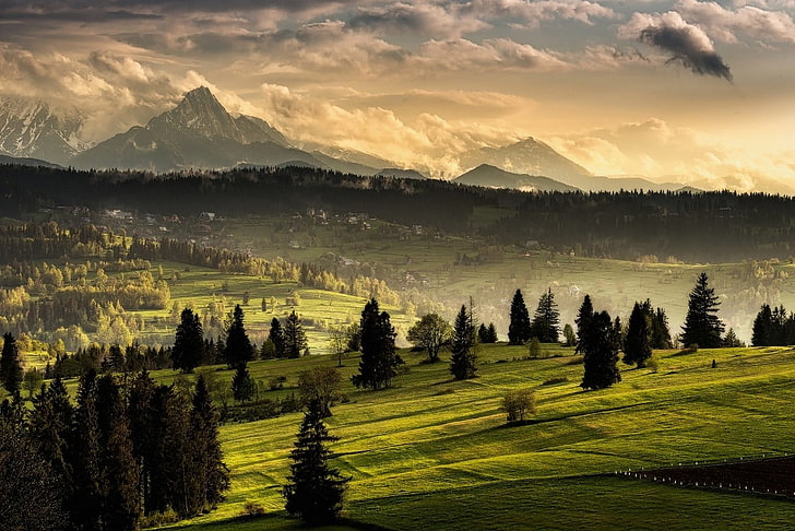 green grass field, nature, landscape, Tatra Mountains, forest, grass, mist, clouds, village, snowy peak, Slovakia, HD wallpaper
