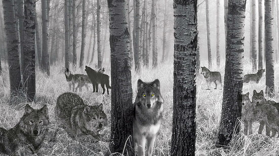 Espírito de lobo das madeiras, pintura de matilha de lobos, madeiras, lobo cinzento, natureza, animais selvagens, lobo vermelho, animais, lobo preto, fantasia, filhotes, lobo branco, HD papel de parede HD wallpaper