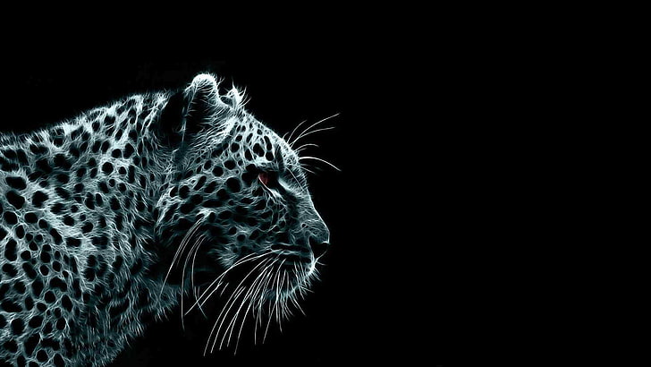 leopard, fur, predator, animal, bird, cartoon, owl, design, art, feline, color, cute, big cat, mammal, fun, element, black, graphic, cheerful, cat, HD wallpaper