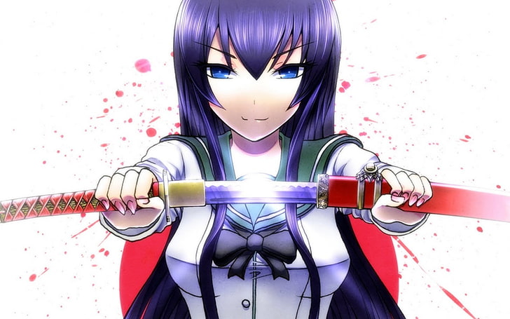 Anime Mädchen, Anime, Highschool of the Dead, Busujima Saeko, HD-Hintergrundbild