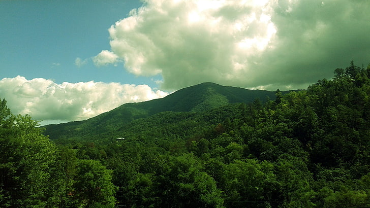 Landschaftsphotographie von grünen Bäumen und von Berg während der Tageszeit, Tennessee, rauchige Berge, Wald, Berge, Landschaft, HD-Hintergrundbild