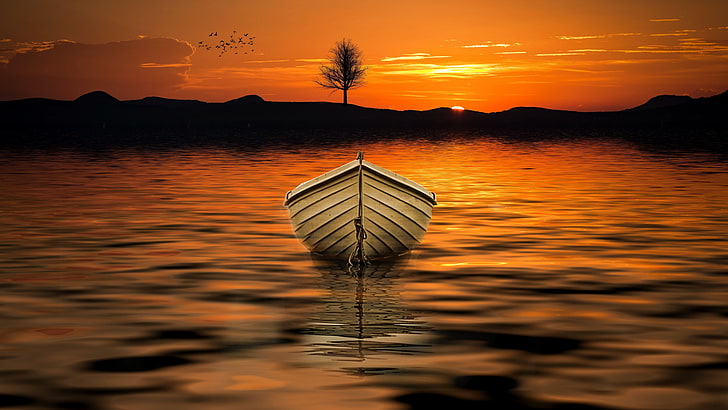 boat, lone tree, sunset, horizon, lake, sky, calm, water, sun, tree, afterglow, orange sunset, orange sky, shore, evening, dusk, HD wallpaper