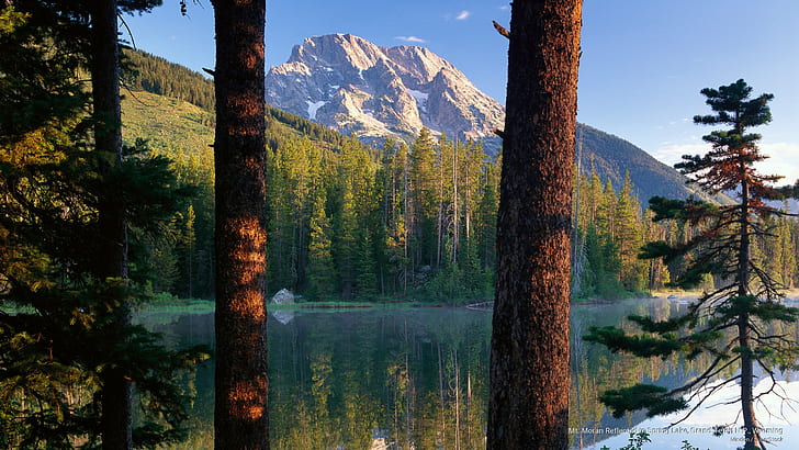 Mt.Отражение Морана в весеннем озере, Гранд-Титон Н.П., Вайоминг, Национальные парки, HD обои