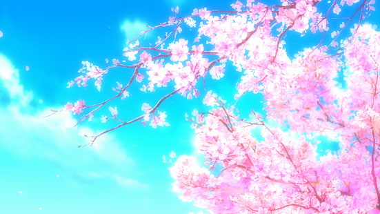 Аниме, Хёка, Вишневый цвет, Сакура, Сакура Блоссом, Дерево сакуры, HD обои HD wallpaper