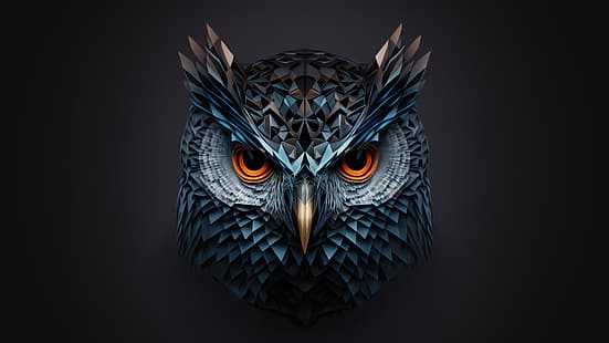  owl, minimalism, digital art, HD wallpaper HD wallpaper