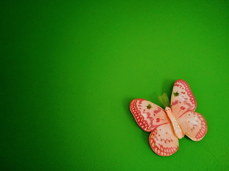 butterfly, decoration, design, green, interior, kids, paint, wall, HD wallpaper