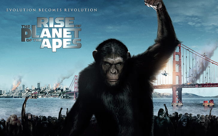 2011 Rise of the Apes Planet, rise, planet, 2011, apes, HD tapet