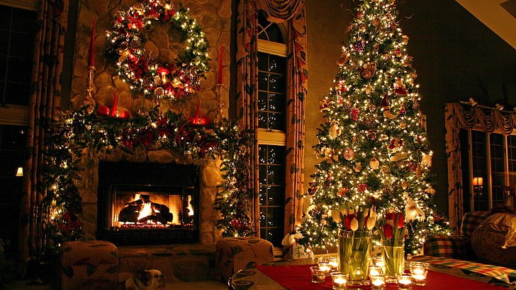 Pohon natal, pohon, rumah, tahun baru, perayaan, Wallpaper HD