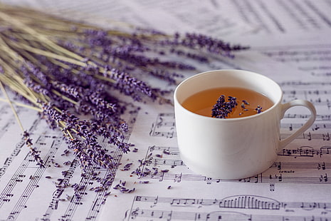 musical notes, cup, tea, plants, lavender, HD wallpaper HD wallpaper