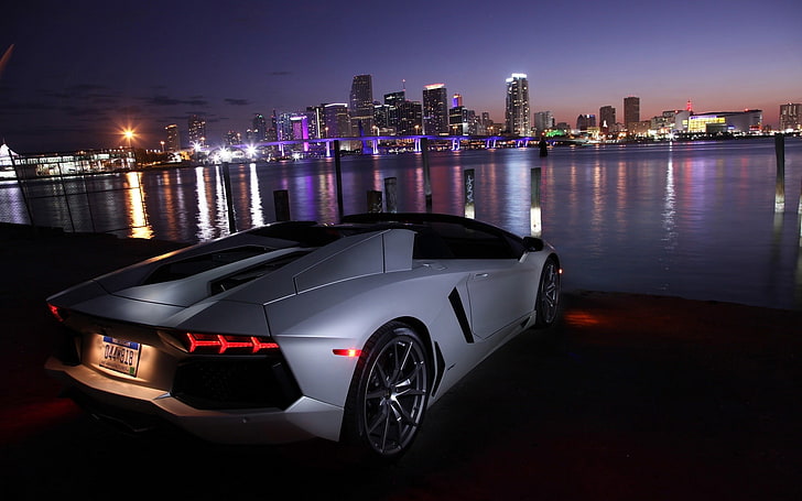 coupe abu-abu, Lamborghini, Lamborghini Aventador LP700-4 Roadster, Lamborghini Aventador, Miami, Michigan, Wallpaper HD