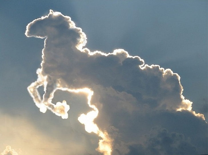 konie chmura 2400x1792 Zwierzęta Konie HD Art, chmura, konie, Tapety HD