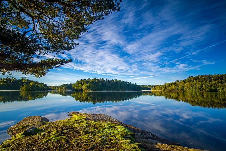 le ciel, les branches, la Suède, la forêt, le lac, Göteborg, les lacs Delsjön, le lac Delsjön, Fond d'écran HD