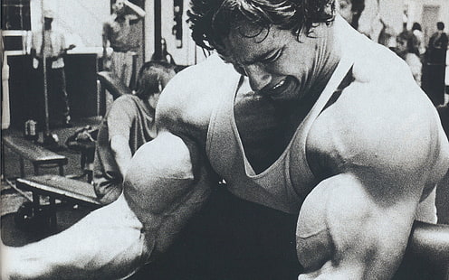 Arnold Schwarzenegger, culturista, celebrità, celebrità maschili, Sfondo HD HD wallpaper