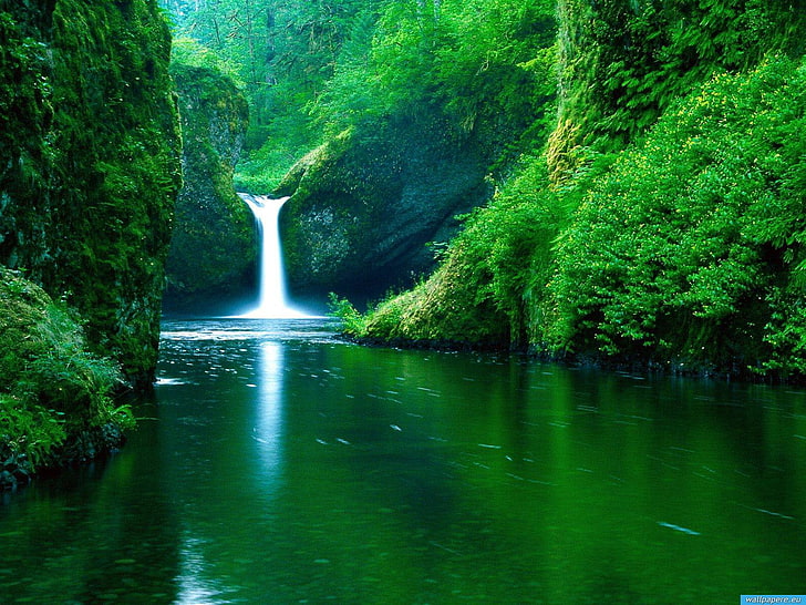 Waterfall Scenery, waterfalls wallpaper, Nature, Waterfalls, Scenery,  Waterfall, HD wallpaper | Wallpaperbetter