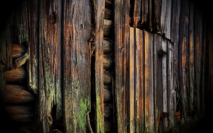 wood, wooden surface, planks, moss, HD wallpaper