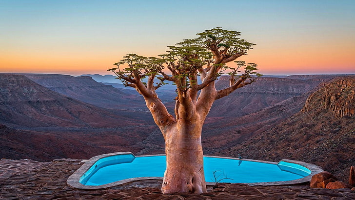 canyon, africa, namibia, tourism, mountain, baobab tree, vacation, formation, plant, lonely tree, rock, sky, baobab, landscape, lone tree, tree, pool, HD wallpaper