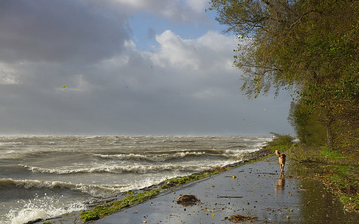 водоем у берега, море, природа, вода, шторм, HD обои